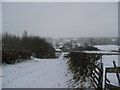 Footpath/Farm Track  to Park House Farm, Canonbie