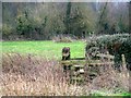 Footpath near Tarrant Rushton