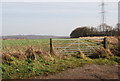 Gate into a potato field, Hackington Rd