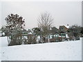 Basketball court in the middle of a snowy Church Field