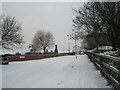 Junction of Collington Crescent and Edwards Close