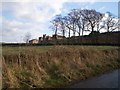 Fox Holes Farm photographed from Mill Lee Road