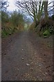 Sunken Lane to Roxby Wood