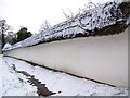 Thatched wall, Bishopstone