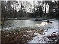 Bournemouth: frozen-over pond in Horseshoe Common