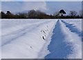 Snow Filled Furrows Near Yeovil