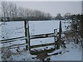 Path to Ellesmere from Sandy Lane