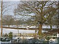 View towards Higher Grange from the edge of Ellesmere