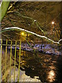 Gala Water on a Night of Snow, Plumbtree