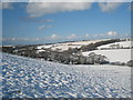 Fields above Higher Penpol