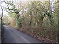 Walnut Wood on Walnut Wood Road