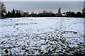 Dovecote Lane Recreation Ground