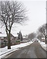 Chestnut Avenue in the snow