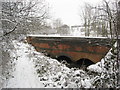 Footpath view of tunnel carrying River Rother under the railway