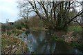 River Avon north of Downton