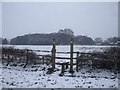 Stile on footpath, Rhiwbina, Cardiff