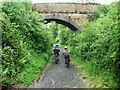 Cycle path through Wyre Forest