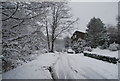 A very snowy Castle Rd, Tunbridge Wells Common