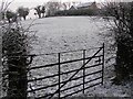 Snowfall, Mullaghmore