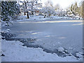 Frozen pond, South Lodge Crescent, Enfield