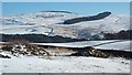 Towards Meigle & Blakehope Hills