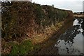 Lane towards Flaunden