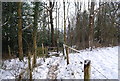 Stile as footpath enters Beech Wood