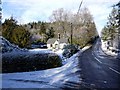 Road at Lake Cottage, Cragside