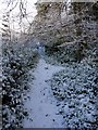 Footpath to Addycombe