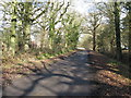 Country lane between Copsale Court and Lockyers Farm