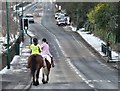 Horses on Mottram Old Road