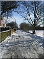 Footpath - Street Lane