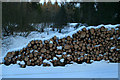 NT7800 : Log Pile by Peter McDermott