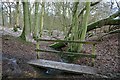 Footbridge over stream in Strood Copse