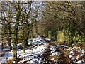 Footpath, The Warren, Caerphilly