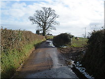 SX9987 : Minor road, near Higher Bagmores Farm by Roger Cornfoot