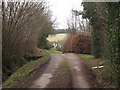 Track to Beanford Farm