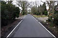 Looking North on Kelvedon Road