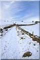 Track below Castleward, Easter Denoon