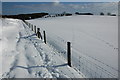 Snow covered farmland, near Cowley