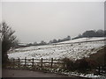 Hillside Farmland