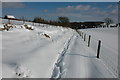 Bridleway to Cowley