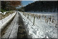 Road through Harcombe Bottom