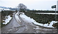 Nidderdale Bridleway