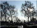 Sawley Marina