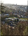 Watcombe County Primary School from Brunel Woods