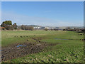 Water Meadows near Spring Barn Farm