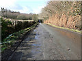 Lane running parallel to Hensol Forest