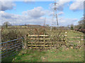 Stile and footpath, Tre Dodridge