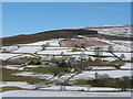 Across the Wharfe from Barden Scale